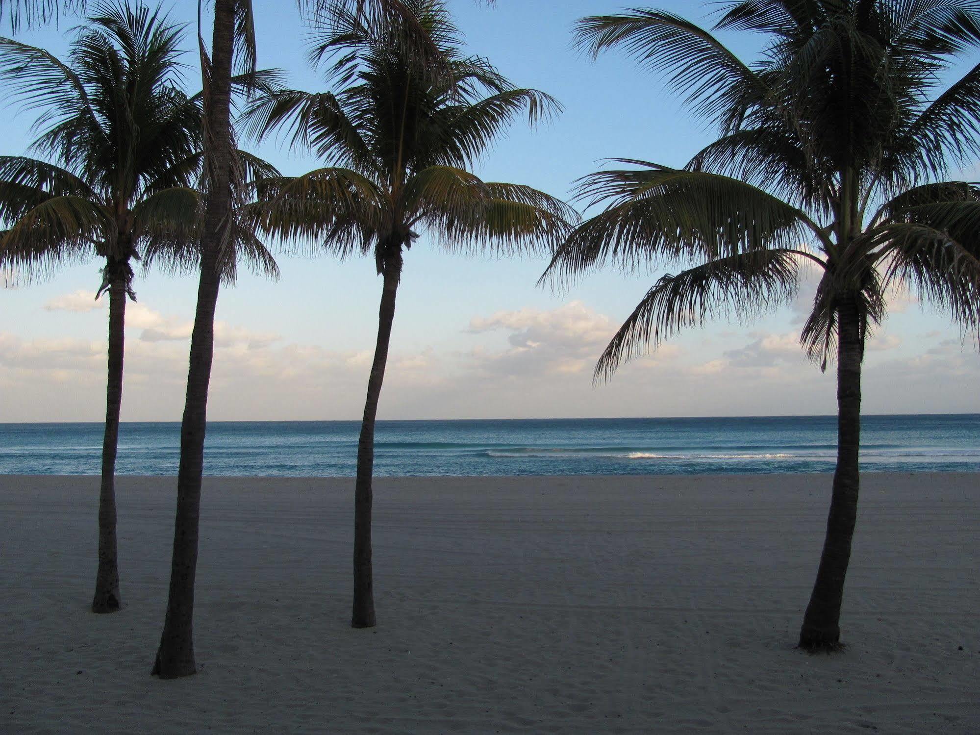 Enchanted Isle Hollywood Beach Resort Ngoại thất bức ảnh